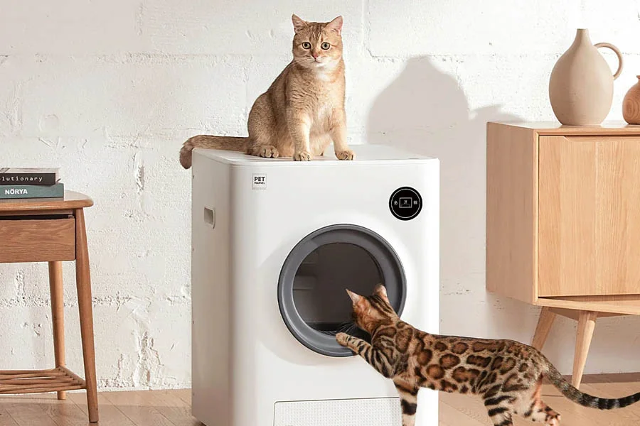 best litter box for large cats