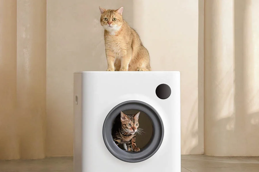 best litter box for large cats